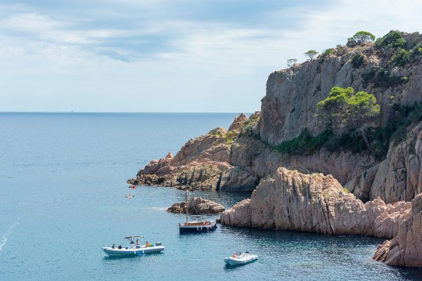 ¿Cuáles son los beneficios de la práctica regular de la natación para la salud cardiovascular?