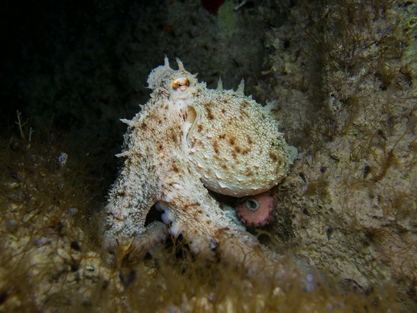 ¿Pueden los sistemas inteligentes contribuir a la gestión de la energía en los edificios?